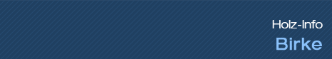 Holz-Info - Birke