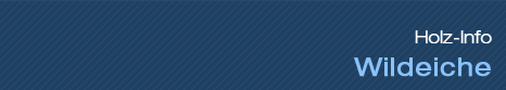 Holz-Info - Eiche