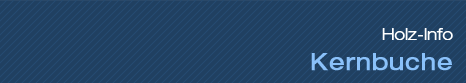 Holz-Info - Kernbuche